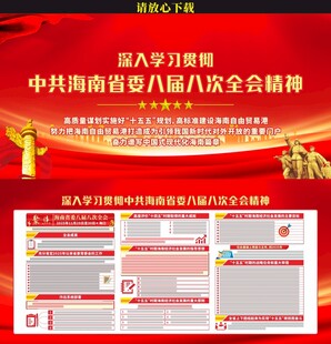 海南省八届八次全会