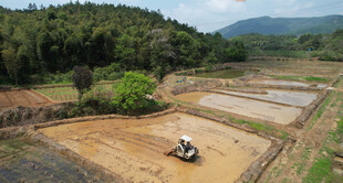 水田农机作业场景