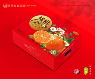 芦柑包装 椪柑礼盒