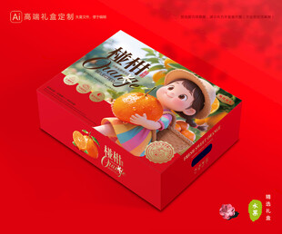 芦柑包装 椪柑礼盒