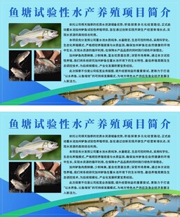 鱼测试性水产养殖项目简介