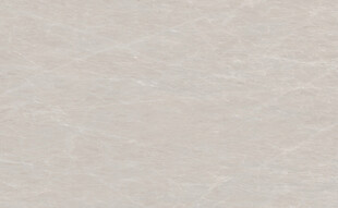 新传 高端豪华石纹 高档大图 