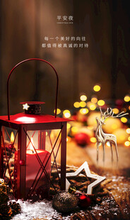 圣诞节 平安夜  