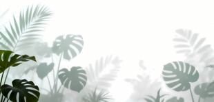 雾气磨砂膜效果绿植贴图