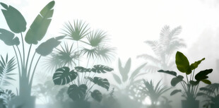 雾气磨砂膜效果绿植贴图