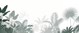 雾气磨砂膜效果绿植贴图