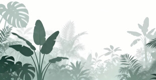 雾气磨砂膜效果绿植贴图