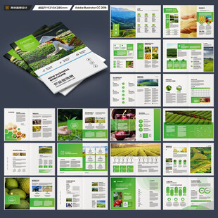 农产品宣传册