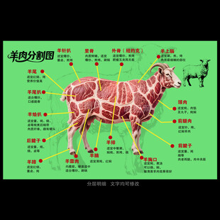 羊肉分割图