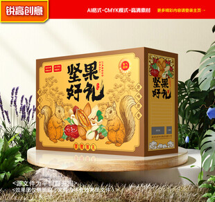 坚果包装 干果礼盒