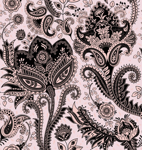 黑白佩斯利花纹精美图案