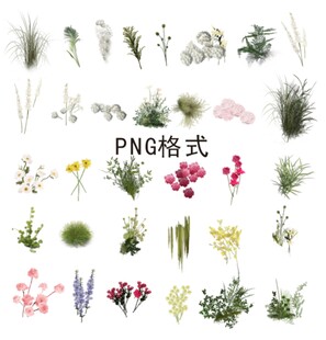 绿植花卉花艺素材