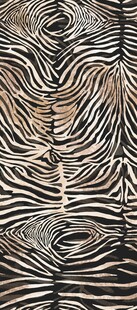 斑马纹理图案