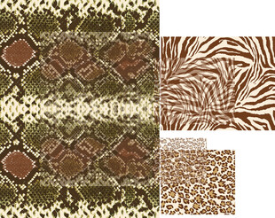 多样动物纹理图案集合