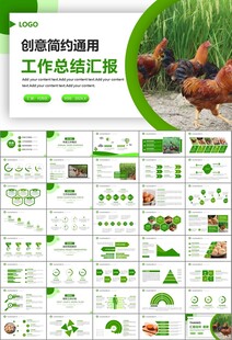 绿色生态农家鸡舍家禽养殖PPT