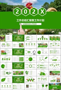 绿色生态农家鸡舍家禽养殖PPT