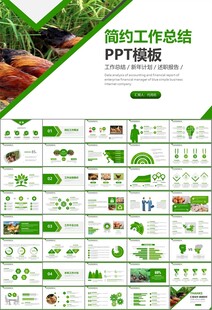 绿色生态农家鸡舍家禽养殖PPT