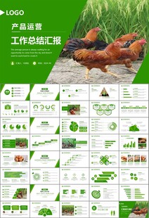 绿色生态农家鸡舍家禽养殖PPT