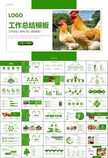 绿色生态农家鸡舍家禽养殖PPT