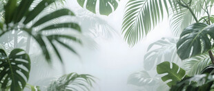 雾气磨砂膜效果绿植贴图