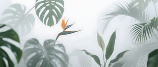 雾气磨砂膜效果绿植贴图