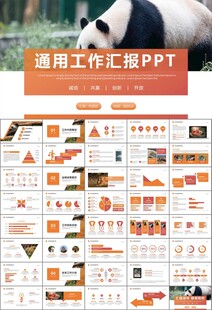 动物园工作总结保护野生动物