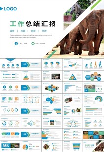 动物园工作总结保护野生动物