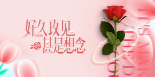 好久不见甚是想念玫瑰图