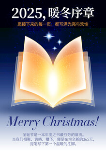 2025圣诞节主题书籍封面海报
