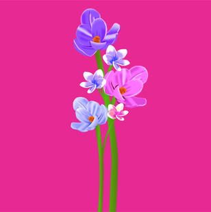 粉色背景下的多彩花朵