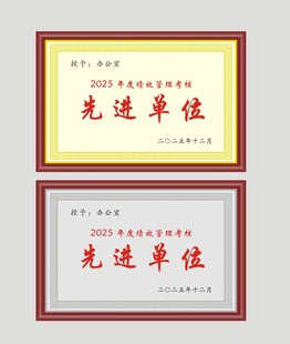 先进单位荣誉奖牌