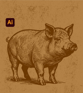 猪插画
