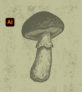 手绘蘑菇插画