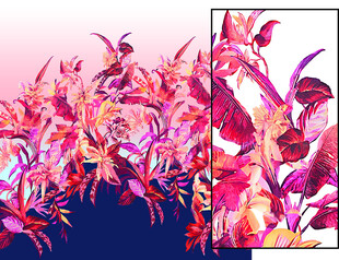 多彩羽毛艺术插画 扣的介意勿下