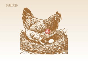 手绘鸡素描插画版画