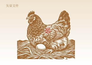 手绘母鸡插画