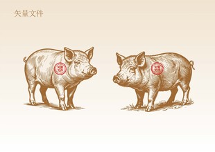 手绘猪插画版画
