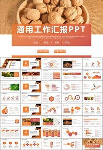 精美核桃种植产业总结计划ppt