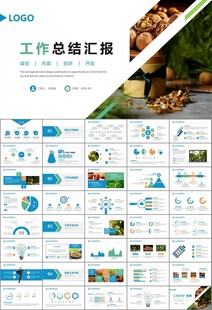 精美核桃种植产业总结计划ppt