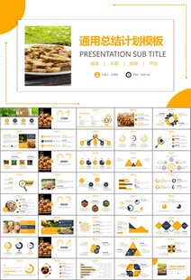 精美核桃种植产业总结计划ppt