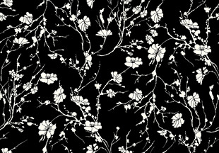 黑白花卉图案纹理背景