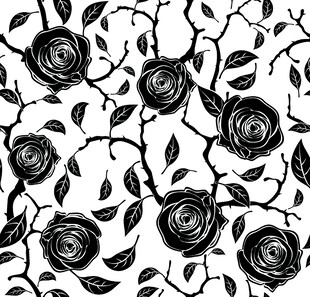 黑白玫瑰