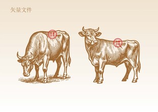 手绘牛素描插画版画
