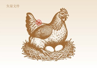 手绘母鸡插画