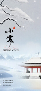小寒海报