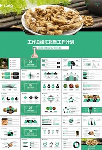 精美核桃种植产业总结计划ppt