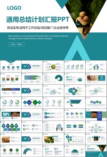 精美核桃种植产业总结计划ppt