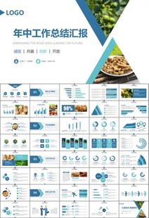 精美核桃种植产业总结计划ppt