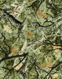 迷彩树叶图案纹理