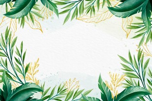 清新绿植边框矢量背景图